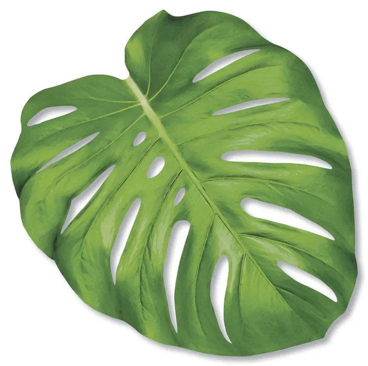 die cut monstera leaf placement - 12 sheets