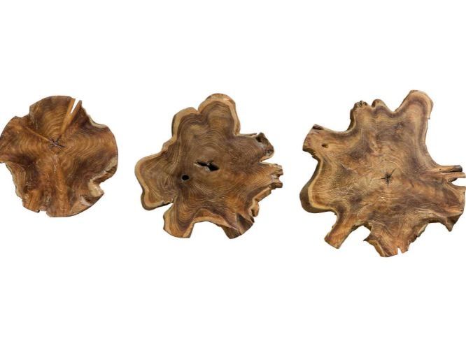 Set of 3 Wood Slice Kalani Wall Decor
