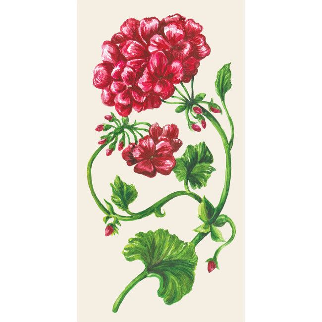 Geranium Guest Napkin - pack of 16