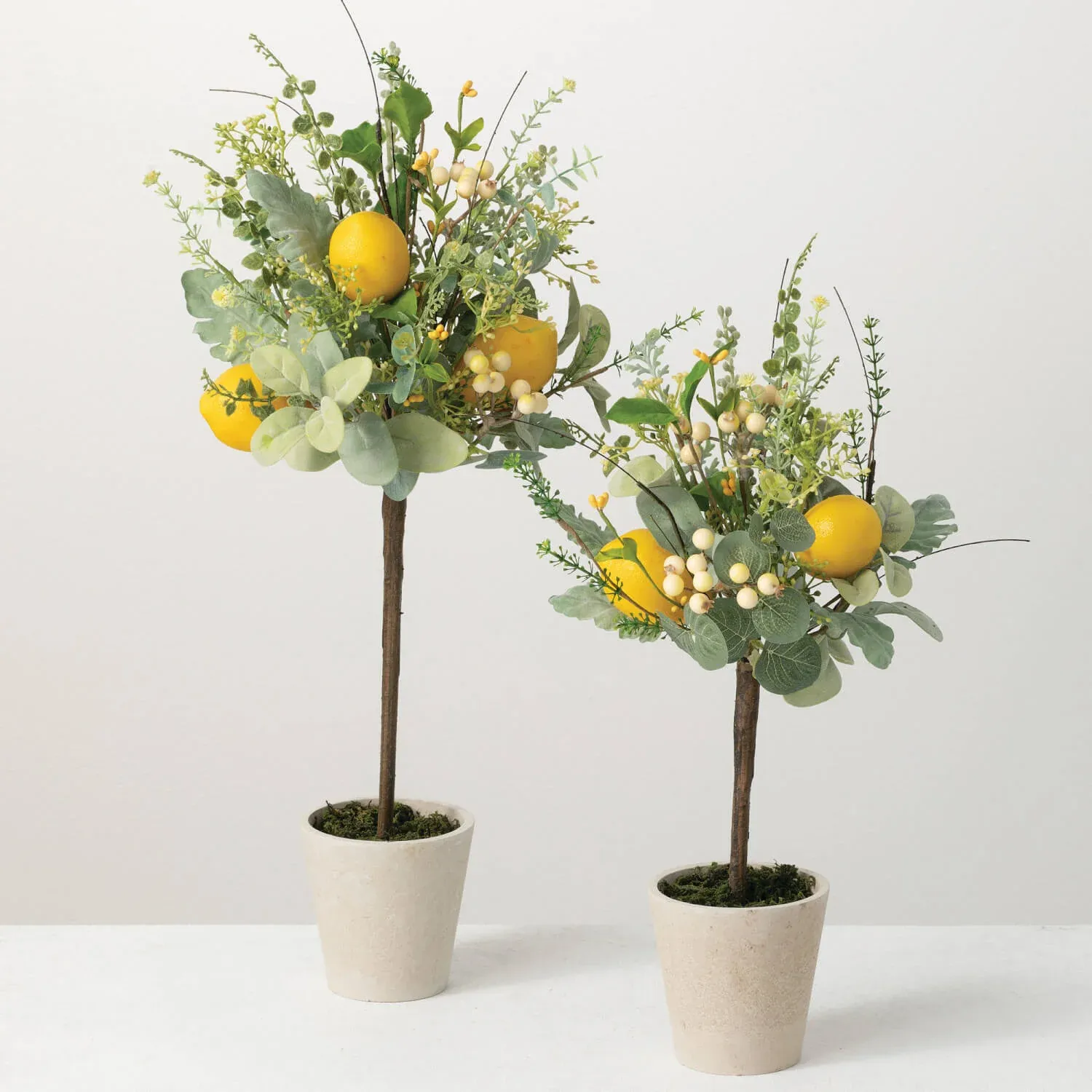 Lemon Topiary Green and Yellow