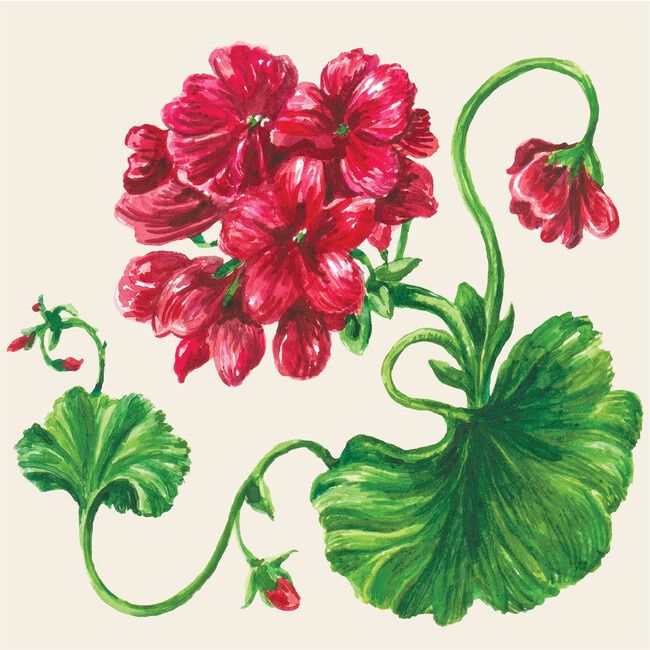 Geranium Cocktail Napkin - pack of 20
