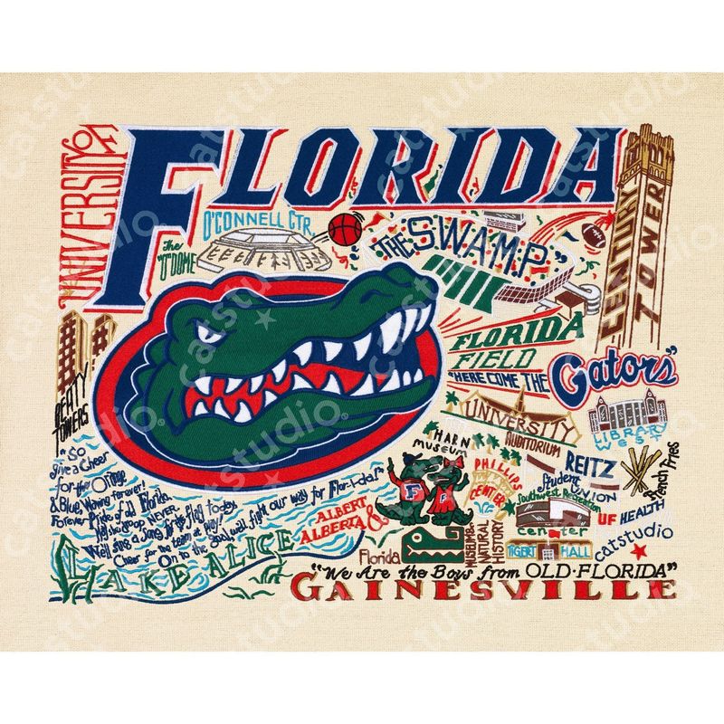 Framed UF print 12 x 16