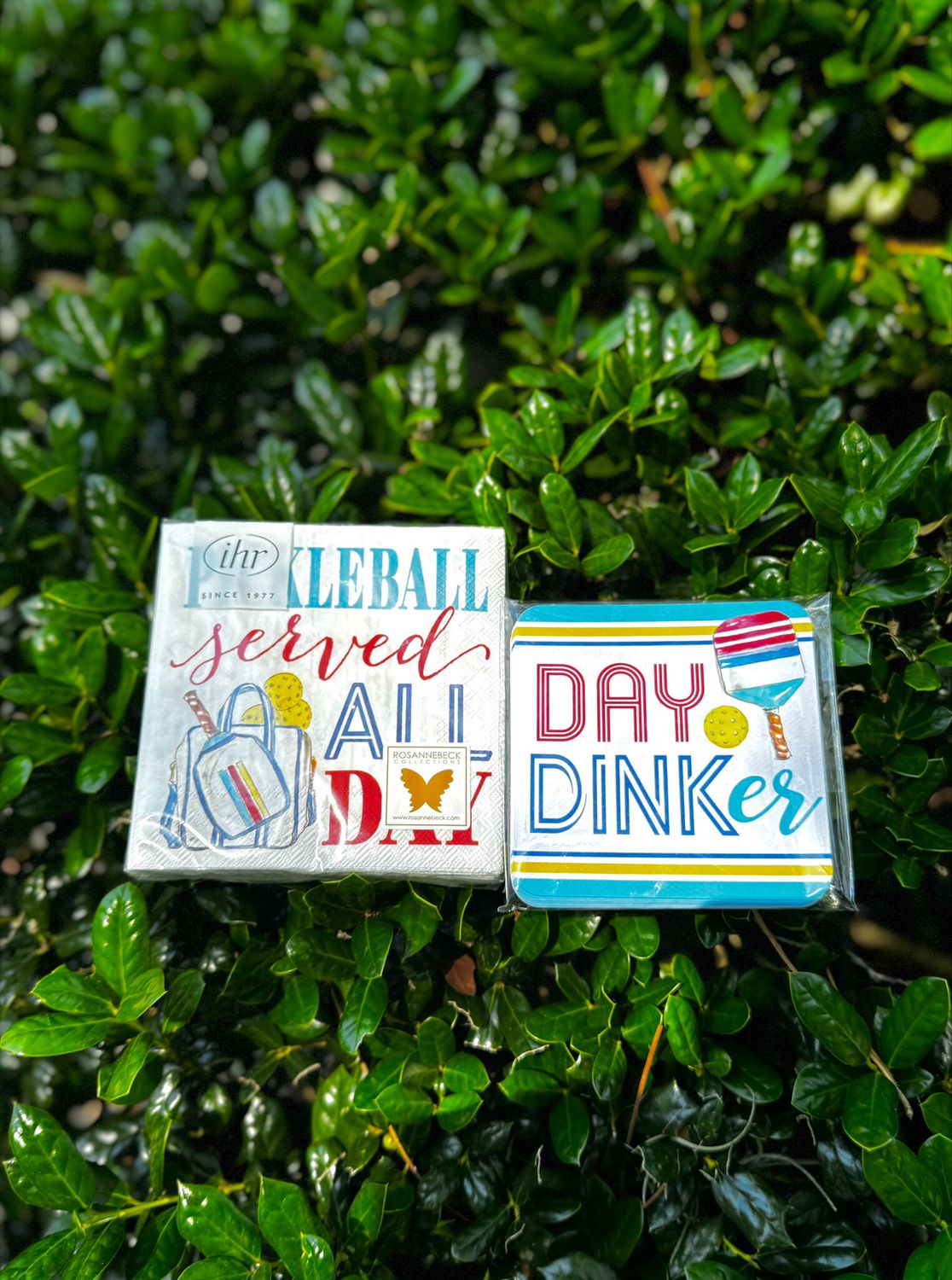 Paper Coaster-Handpainted Day Dinker
