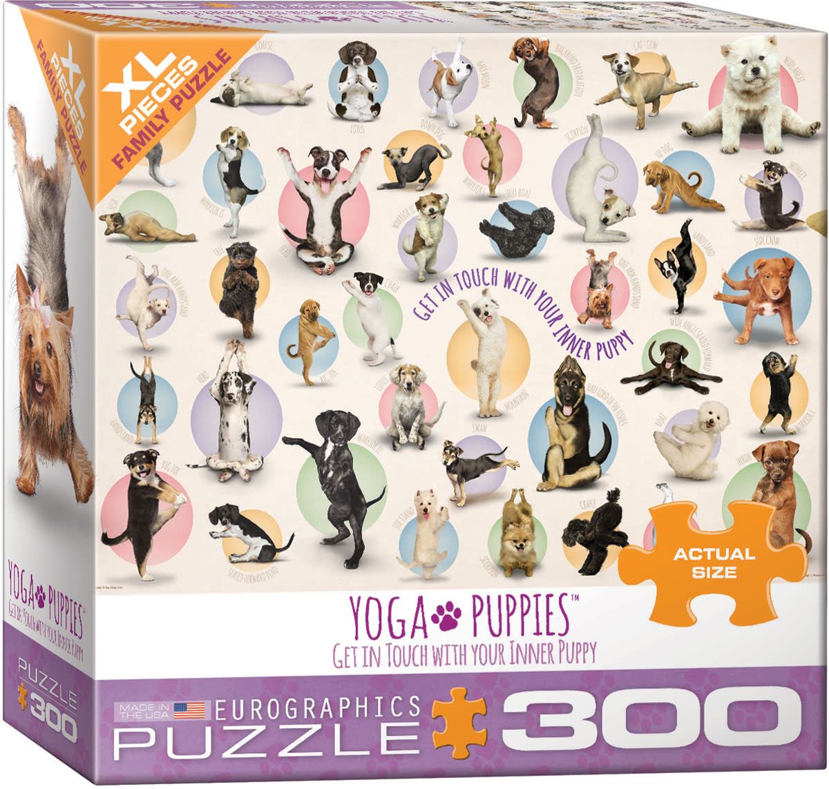 Yoga Puppies  (300pc) Large Format