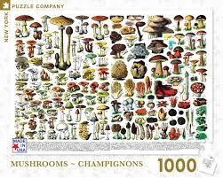 Mushrooms - Champignons 1000pc New York Puzzle Company Jigsaw Puzzle