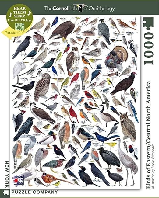 Birds of Eastern/Central North America 1000pc Jigsaw Puzzle