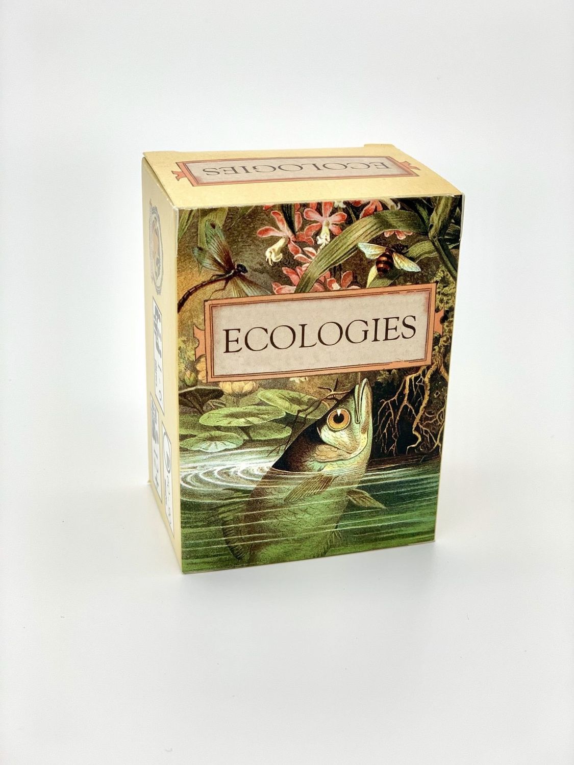 Ecologies