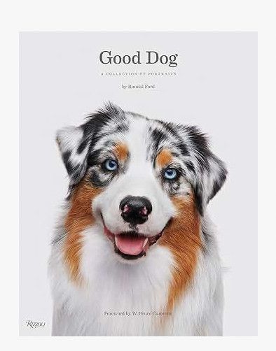 Good Dog