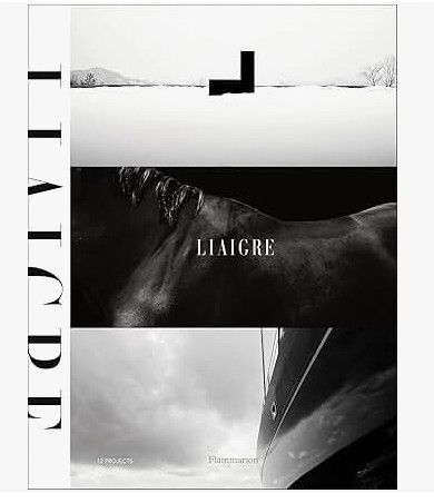 Liagre: 12 Projects