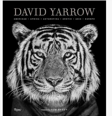 David Yarrow Photography