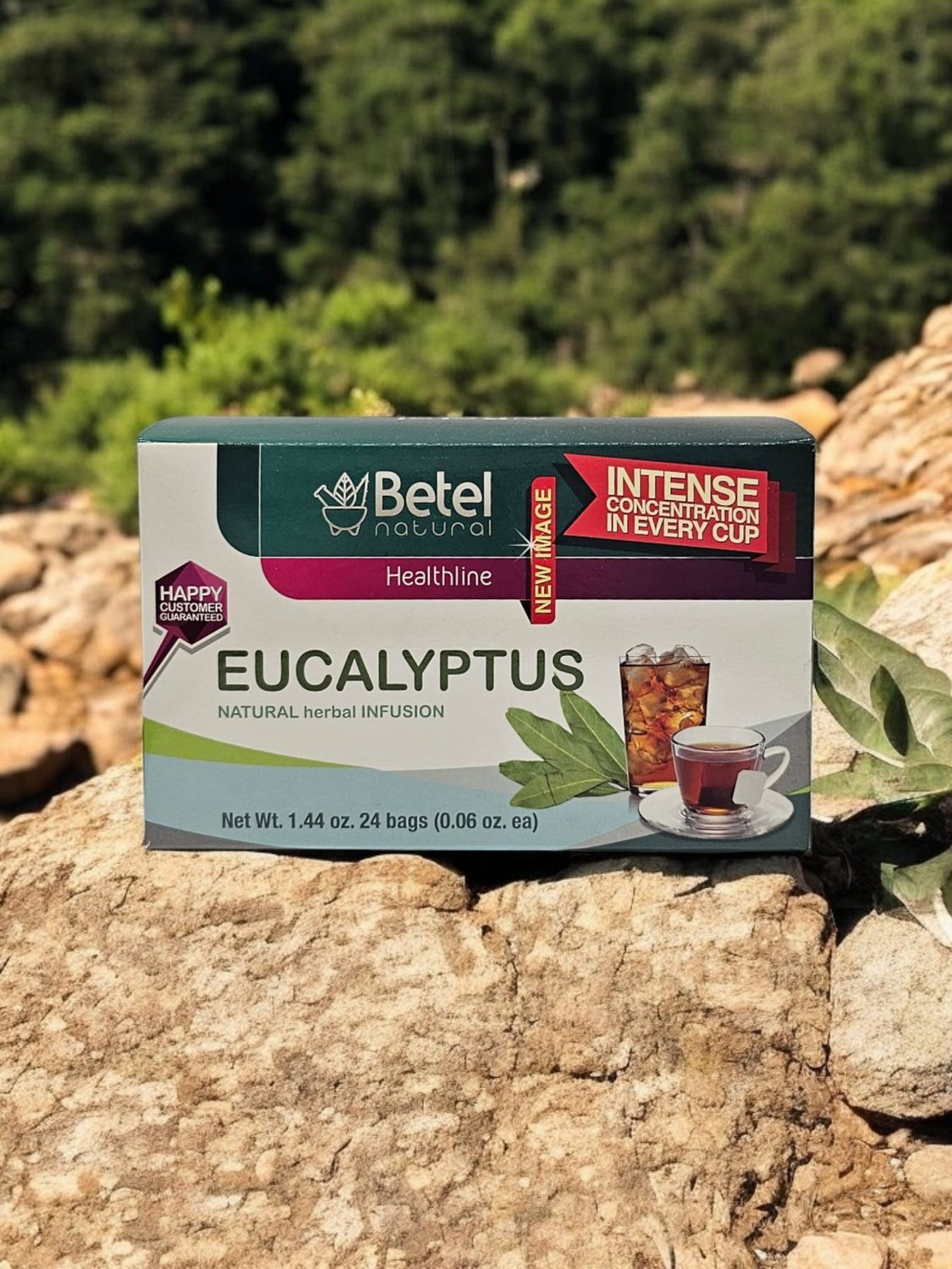 Eucalyptus Tea