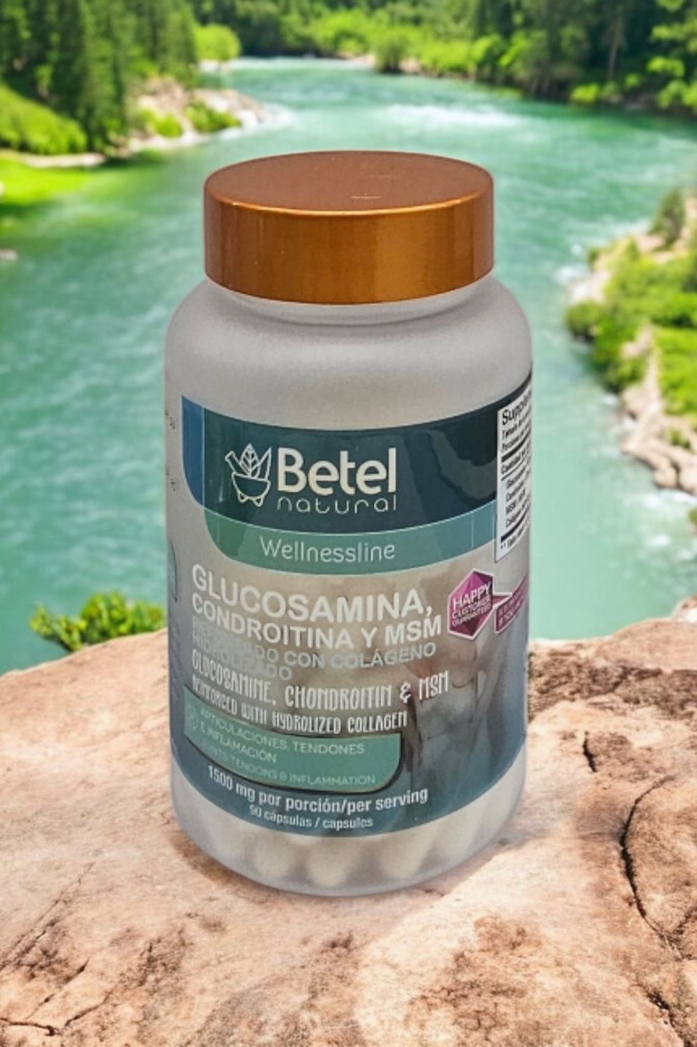 Glucosamine, Chondroitin and MSM 90 Cap