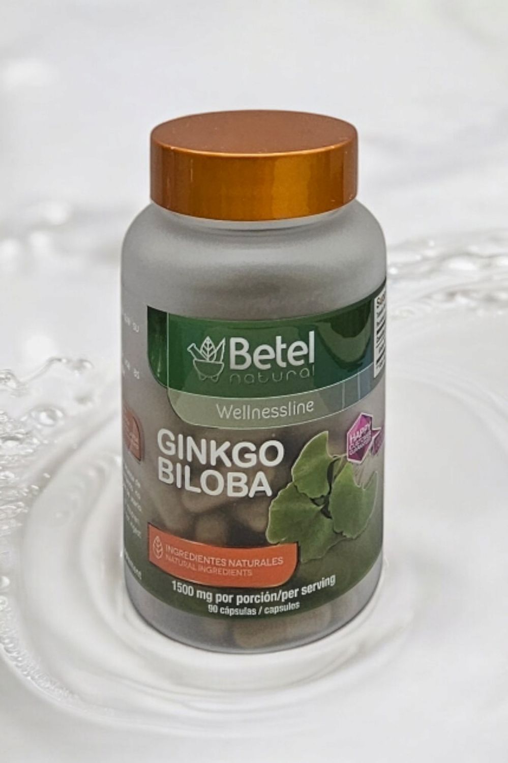Ginkgo Biloba 90 Cap