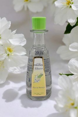 Colonia Flor de Naranjo