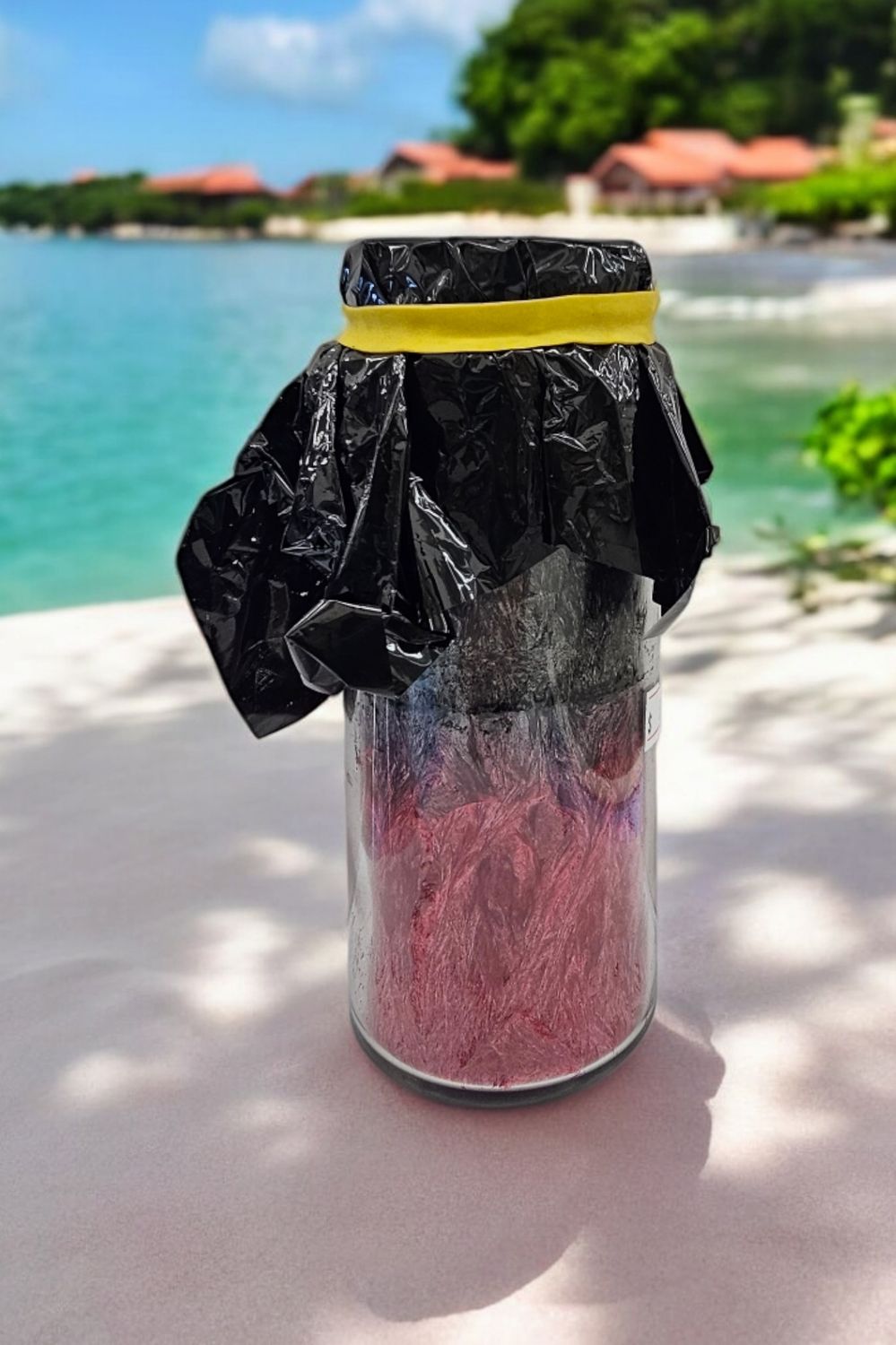 VMA Palm Wax Candle - Del Retiro
