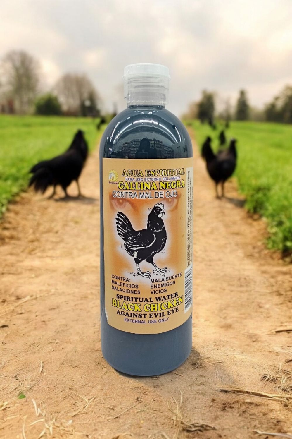 Spiritual Water 16 oz - Black Chicken