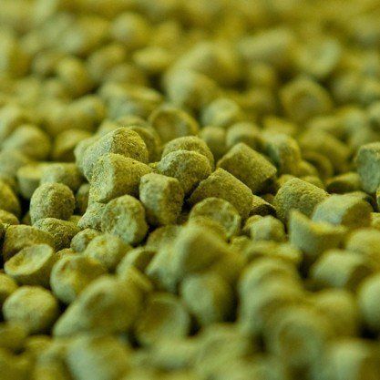 Perle Pellet Hops  a/a  6.7%  (1oz)