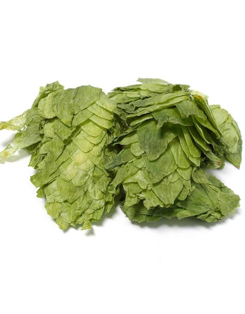 Sterling US Leaf Hops  AA. 8.7% (1oz)