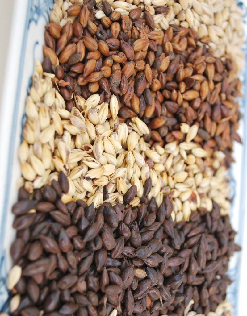 Bestmalz Acidulated Malt (55lb bag)