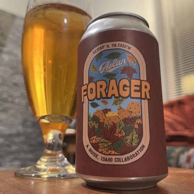Aslan Forager Festbier 6pk 12oz cans single