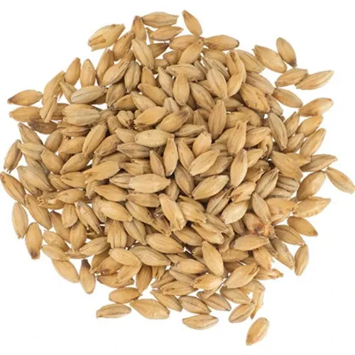 Bairds Maris Otter Pale Ale Malt (per oz) *51