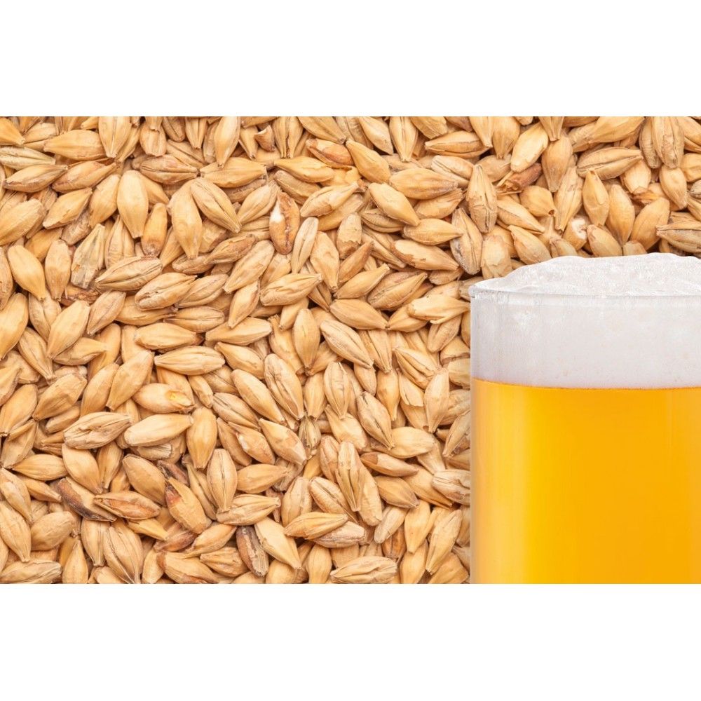 Bestmalz German Caramel Pils  (per oz)(*31)