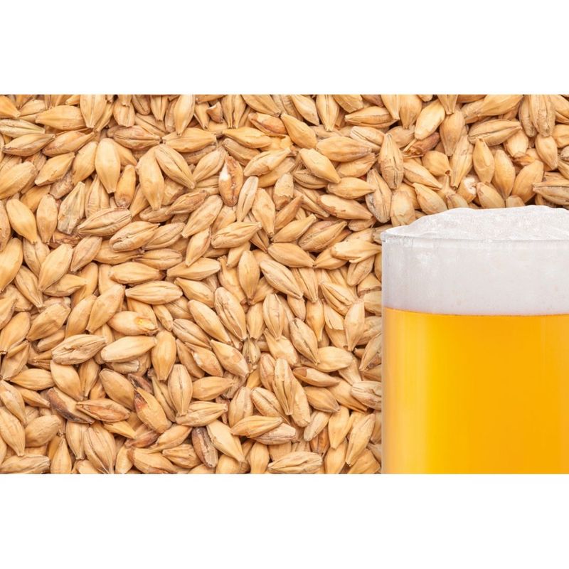 Bestmalz German Caramel Pils  (per oz)(*31)