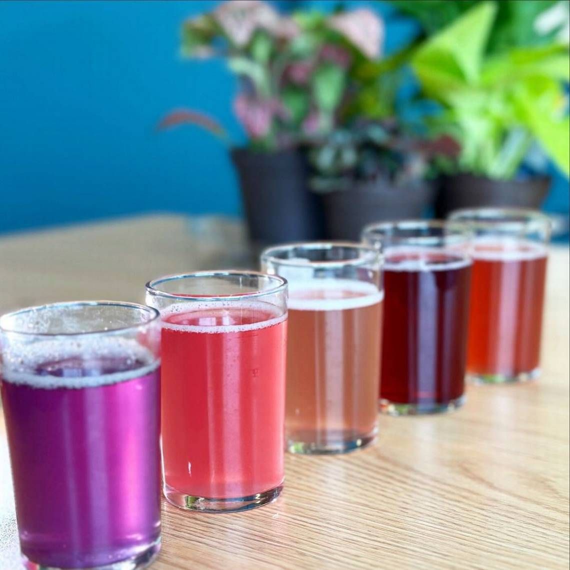 Boise Booch Blackberry Julep Hard Kombucha  16.9oz