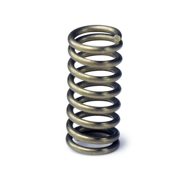Corny Keg disconnect poppet spring replacement
