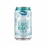 Dogfish Head Slightly Mighty Lo-Cal IPA 6pk Cans single