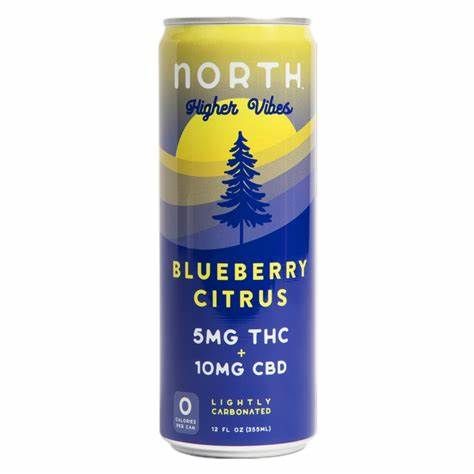 Dwinell Bluish Blueberry Seltzer  4pk cans single