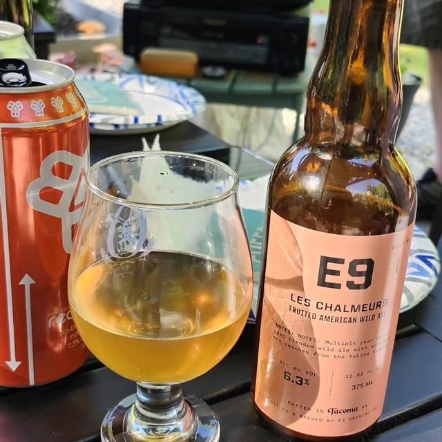 E9 Les Chalmeurs Fruited Sour Ale 375ml