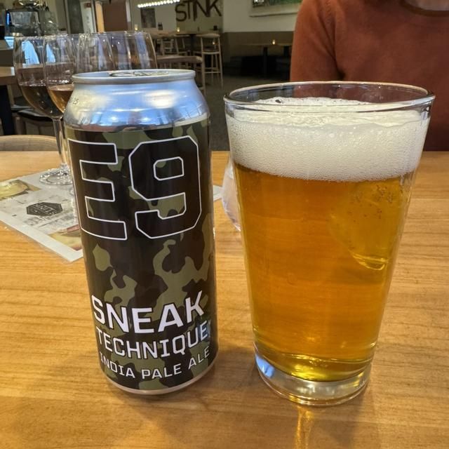 E9 Sneak Technique IPA 4pk cans single