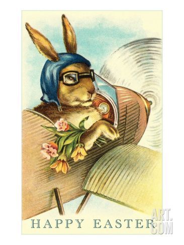 Easter Commemorative Print Goggles Rabbit