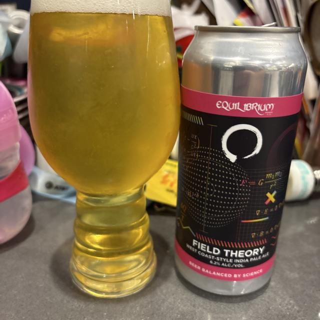 Equilibrium Field Theory W. Coast IPA 4pk 16oz cans single