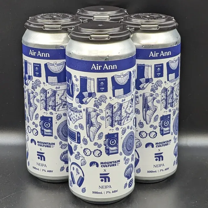 Fast Fashion Self ExpressionDDH IPA 4pk cans