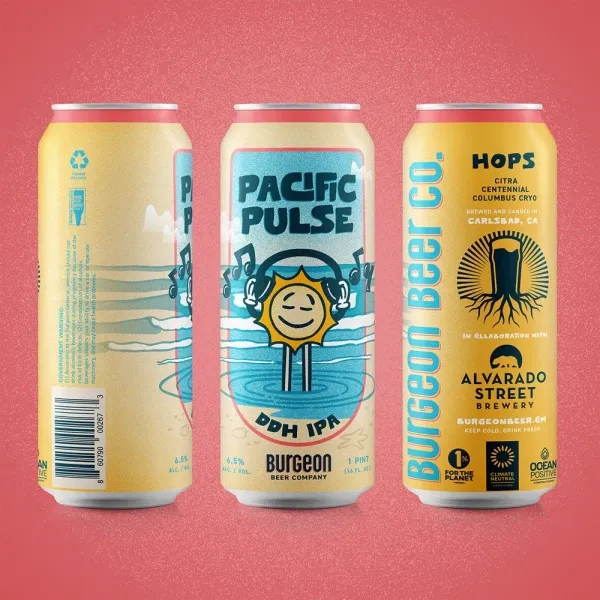 Fast Fashion Self Expression DDH IPA 4pk cans single