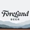 Foreland Mesmeric Gaze IPA 4pk