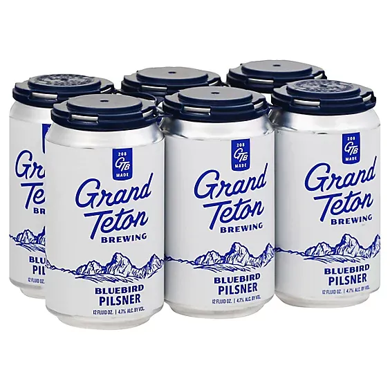Grand Teton Black Cauldron Stout 6pk cans