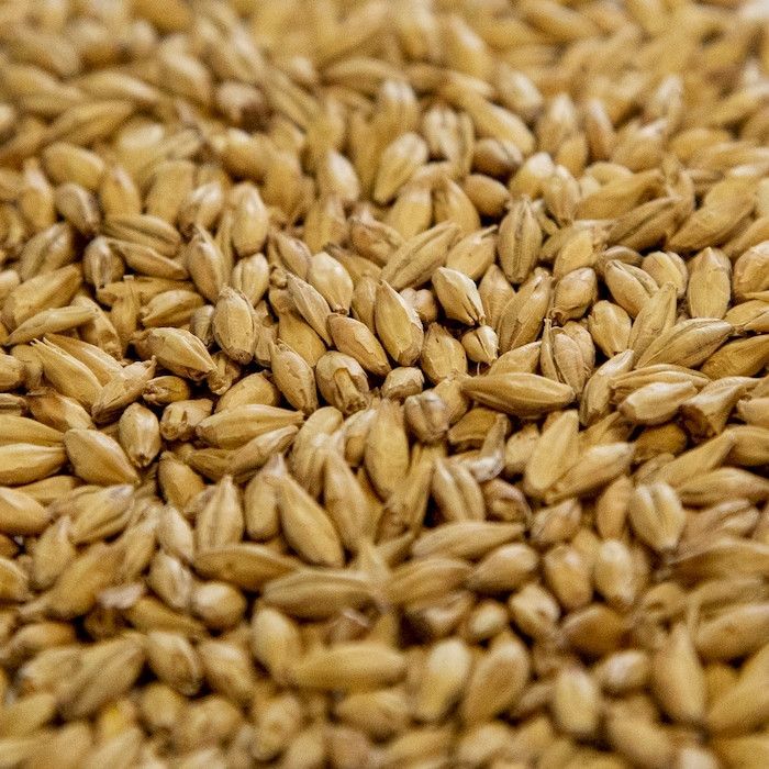 MFB Belgian Pilsen Pale Ale Malt  (per oz)(*64)