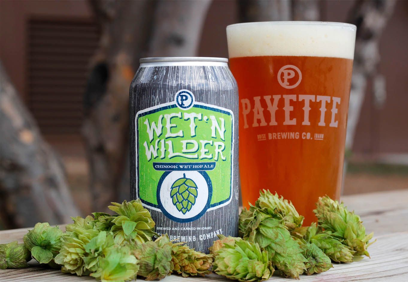 Payette Wet &#39;N Wilder Fresh Hop IPA 6pk cans single