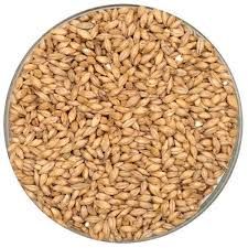 Rahr High Diastatic Power Distillers Malt  (per oz) (*11)