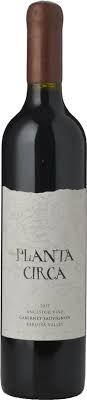 Purple Vine Cabernet Sauvignon - 2017