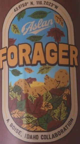 Aslan Forager Festbier 6pk 12oz cans