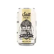 Salt Point Vodka Mule Canned Cocktail 4pk cans single