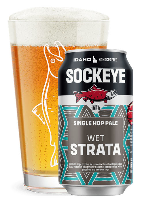 Sockeye Single Hop Pale Wet Strata  6pk cans single