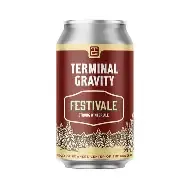 Terminal Gravity Festivale single