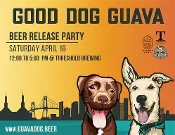 Threshold Good Dog Guava Sour 4pk