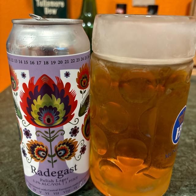 Threshold Radegast Polish Lager 4pk 16oz cans single