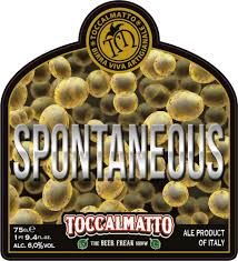 Toccalmatto Spontaneous 750ml